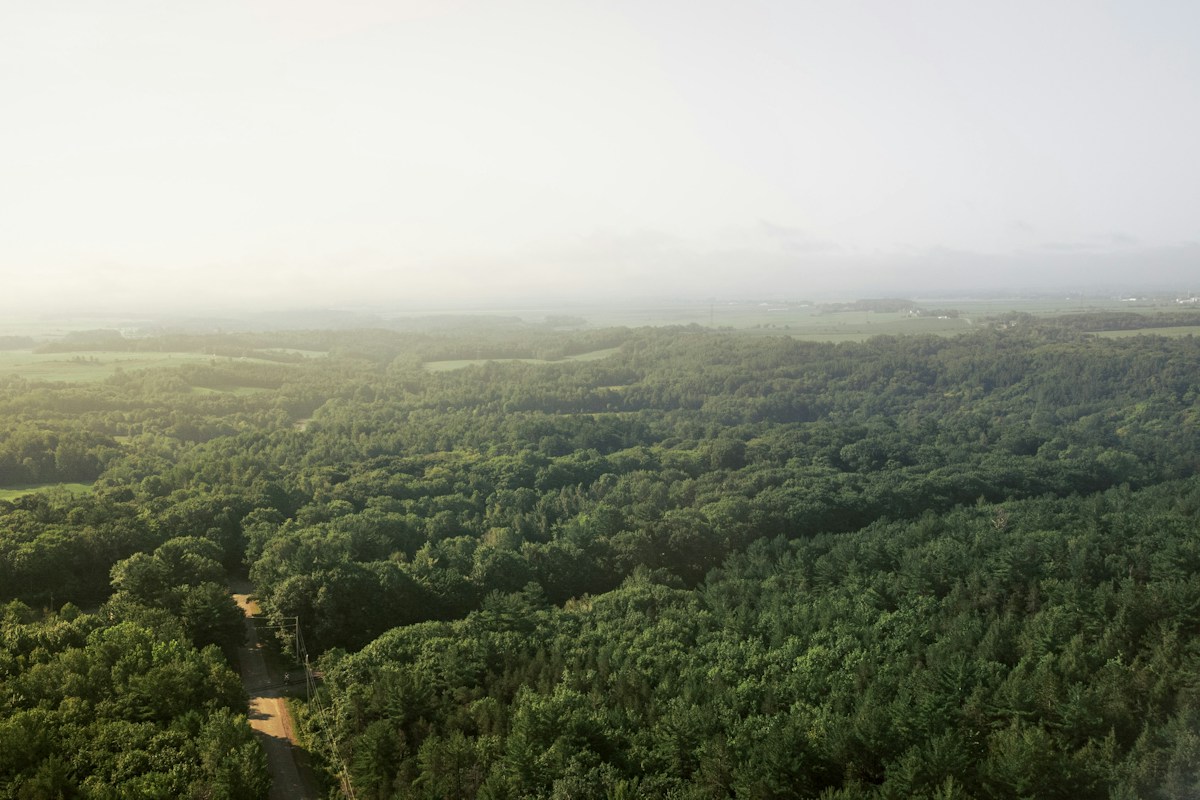 Certified nature-based carbon sequestration and environmental offset projects