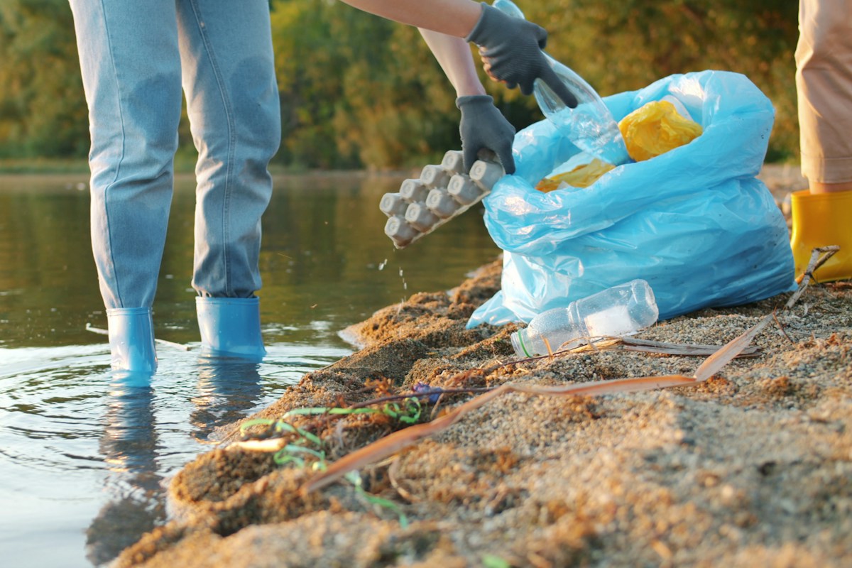 Environmental corporate liability assessment and statutory remediation protocols