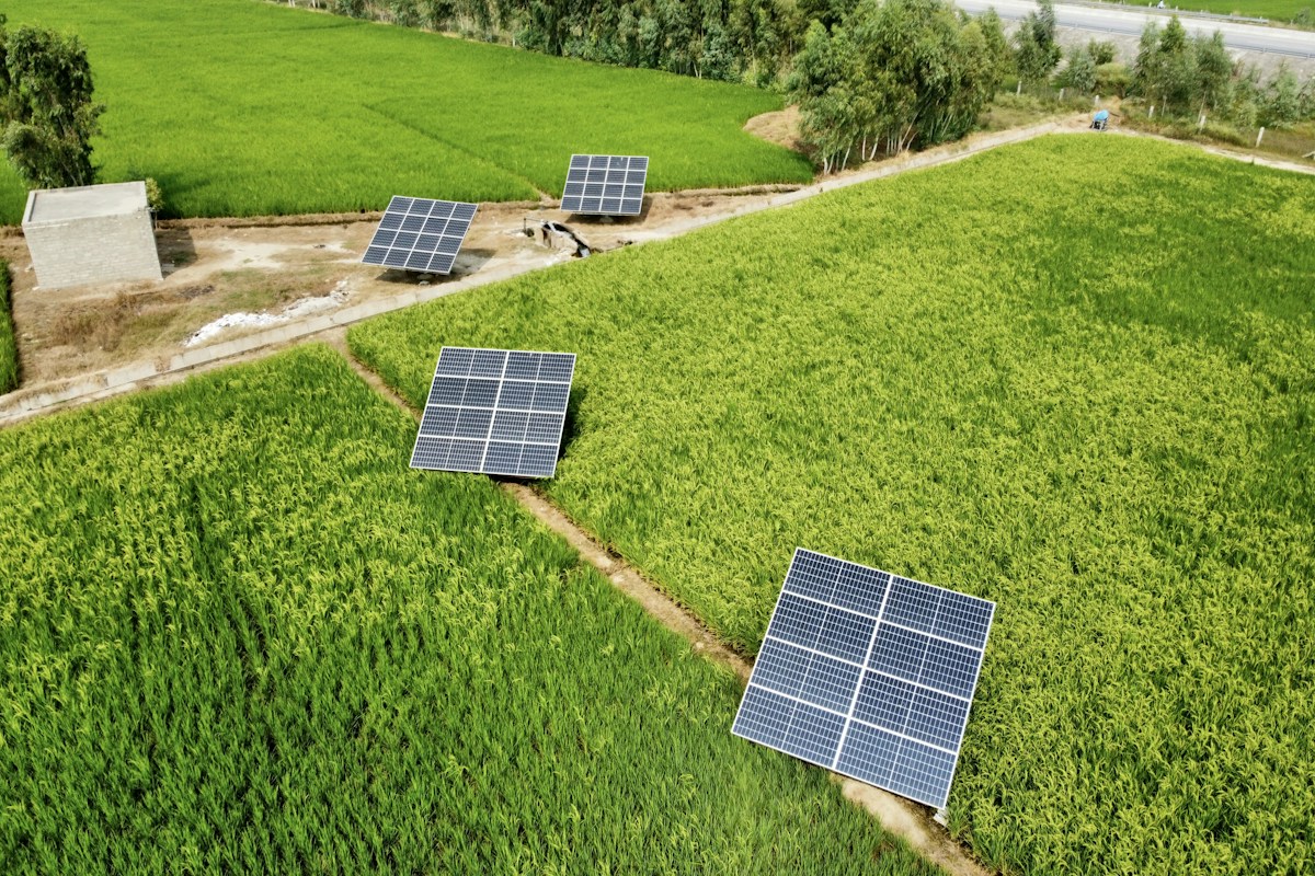 Utility-scale renewable solar farm and wind turbines generating clean energy